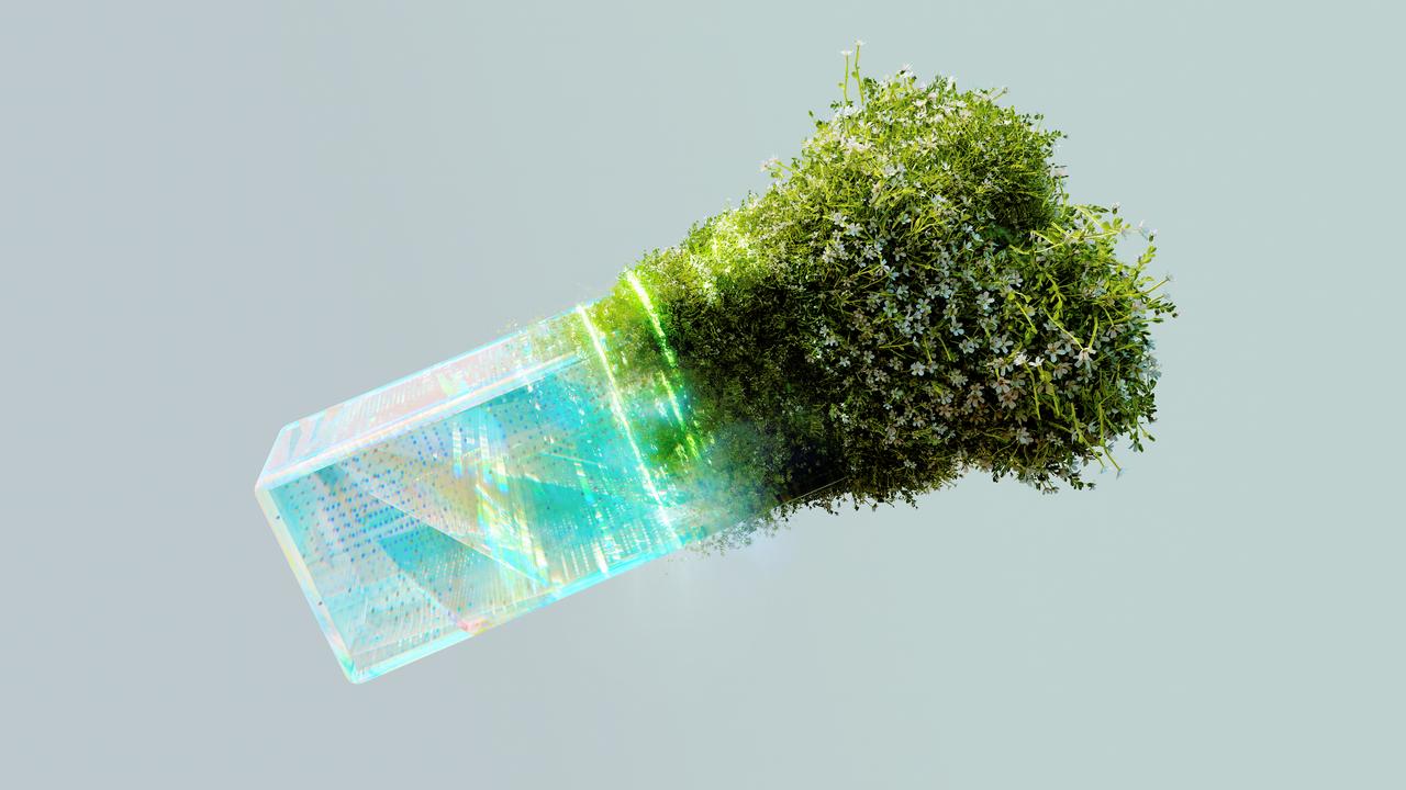 Rendered image of plants and flowers sprouting from a transparent square prism. The object is floating against a light grey background.