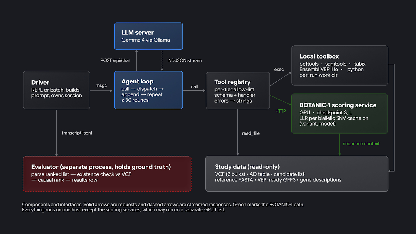 living-models-workflow