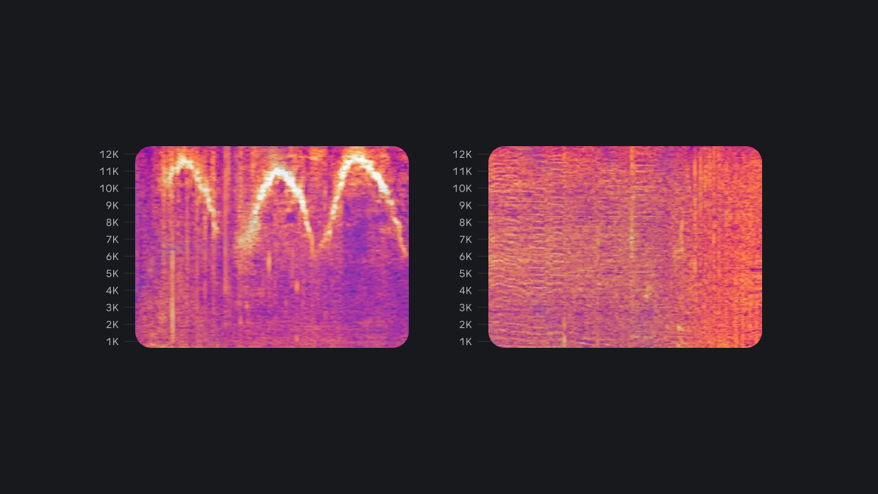dolphingemma__visualizing-dolphin-sounds__dark