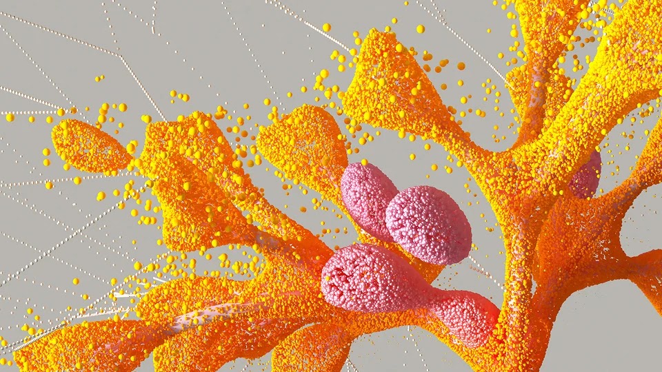 A digital visualization showing a network of orange and yellow tree-like branching structures with clusters of rounded, light pink cells, set against a pale gray background with fine, dashed white grid lines.