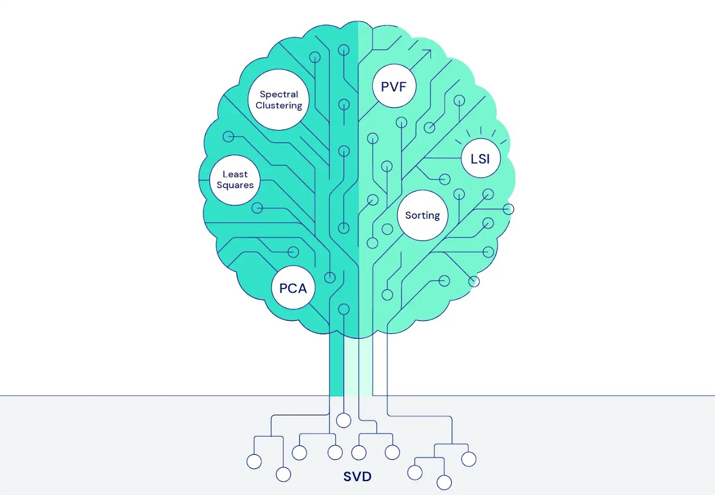 An illustration of a tree shows symbolising machine learning. It has multiple roots labelled 