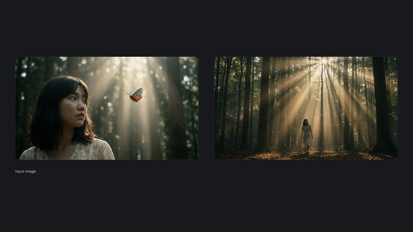 A comparison showing a change in scale. The left image is a close-up of a young woman watching a butterfly, while the right image zooms out to show her as a tiny figure walking through a vast, sun-drenched forest with towering trees.