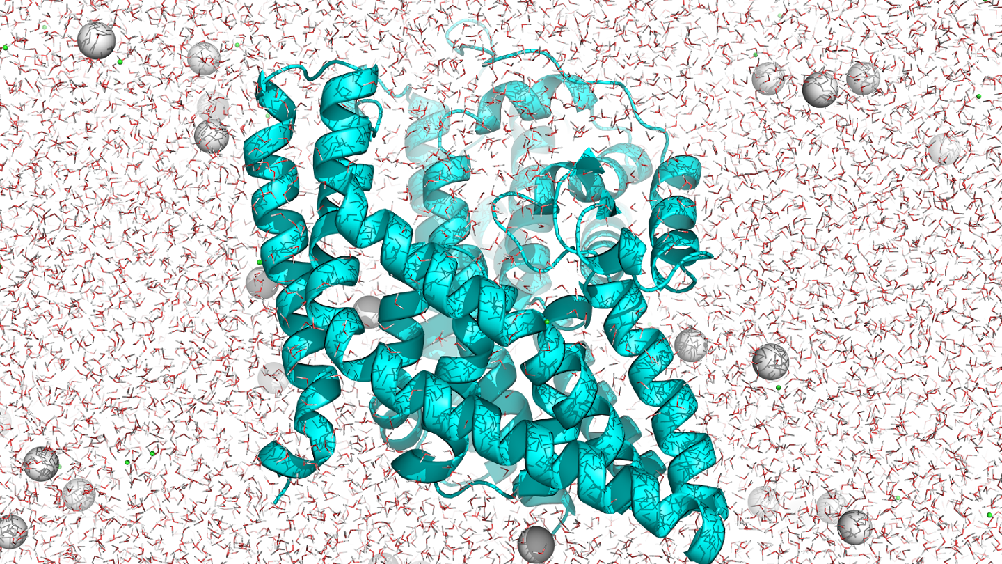 A molecular simulation snapshot showing a protein (rendered as turquoise helices) embedded in a simulated environment of water molecules (red lines) and ions (gray spheres).
