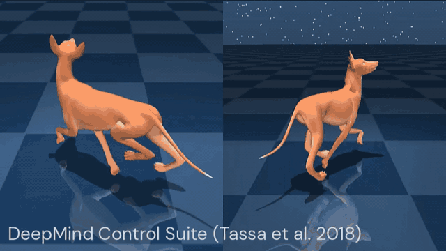 A simulated dog-like figure runs across a flat surface. As it runs we get to glimpse an X-ray view of its animated skeleton, which is very detailed.