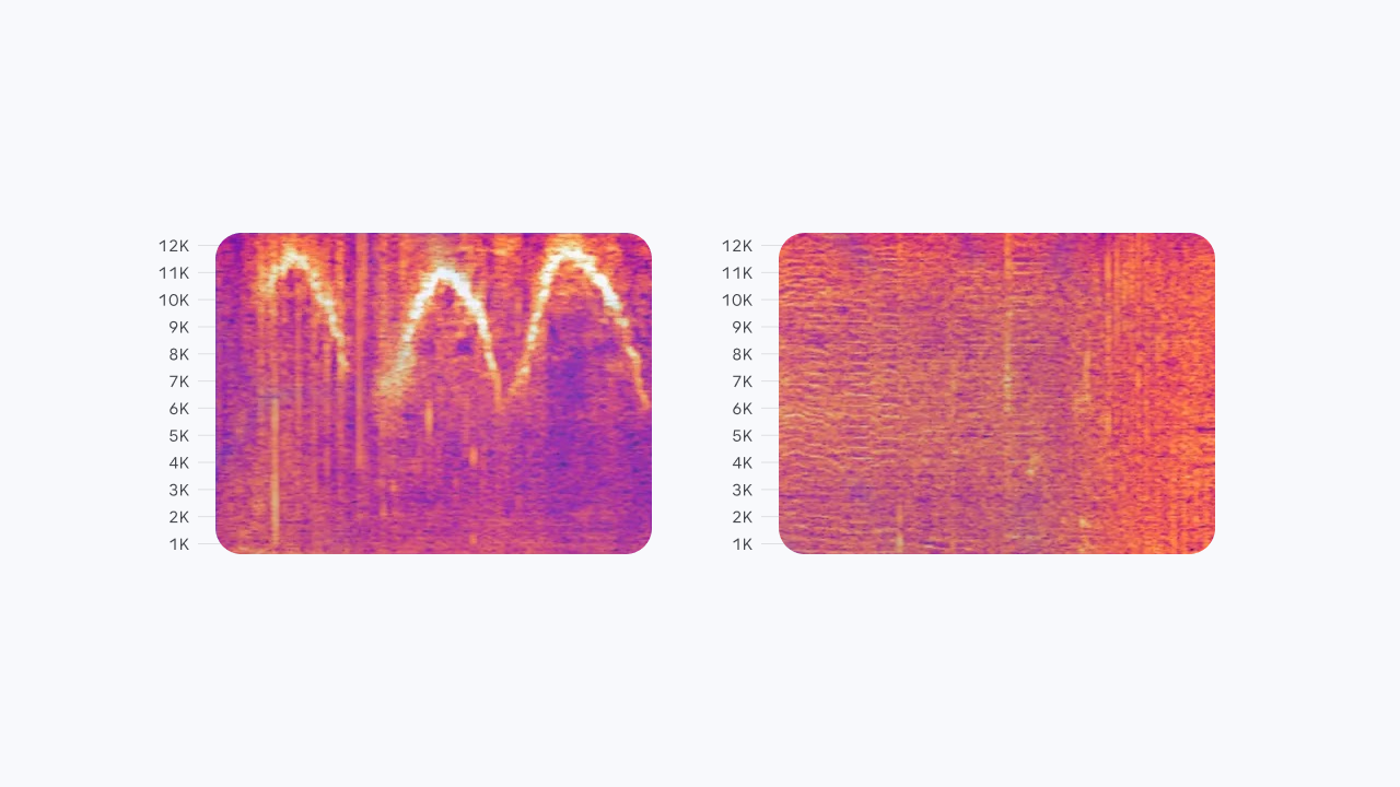dolphingemma__visualizing-dolphin-sounds__light