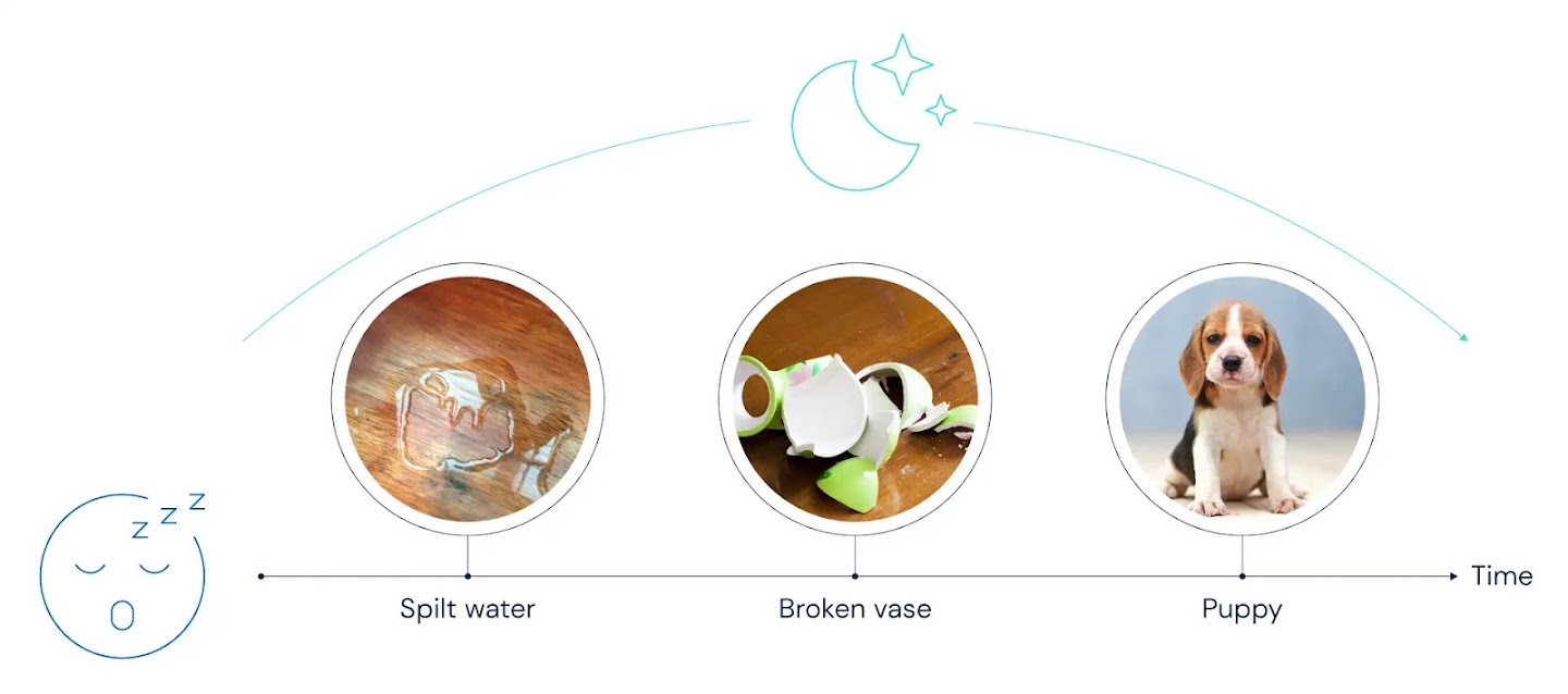 A sequence of events played back while sleeping, in the same order they occurred: split water, broken vase, puppy