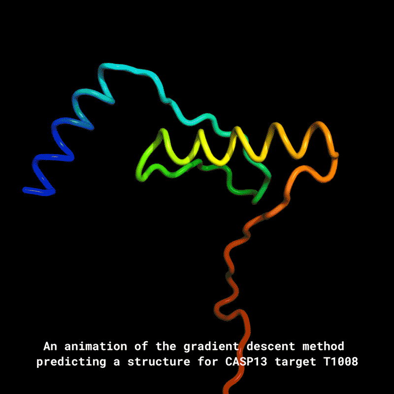 An animation of the gradient descent method predicting a structure for CASP13 target T1008.